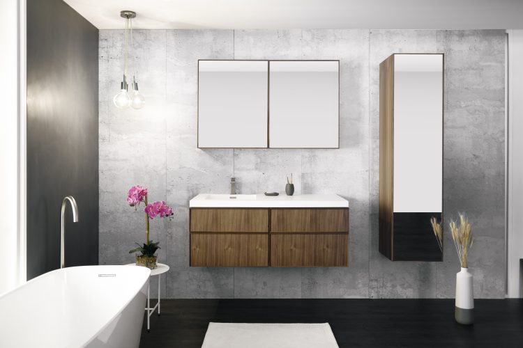 frame linea vanity 6